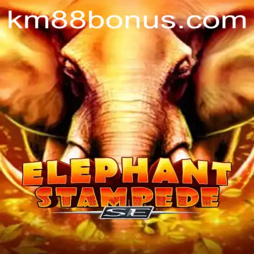 Exploring ElephantStampedeSE: A Thrilling Ride into the World of KM88